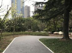 透水砖案例