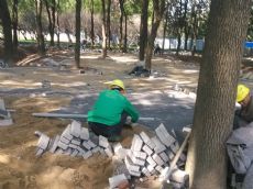 透水砖施工案例