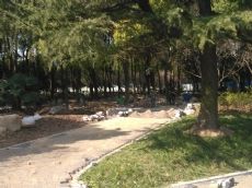 透水砖施工案例